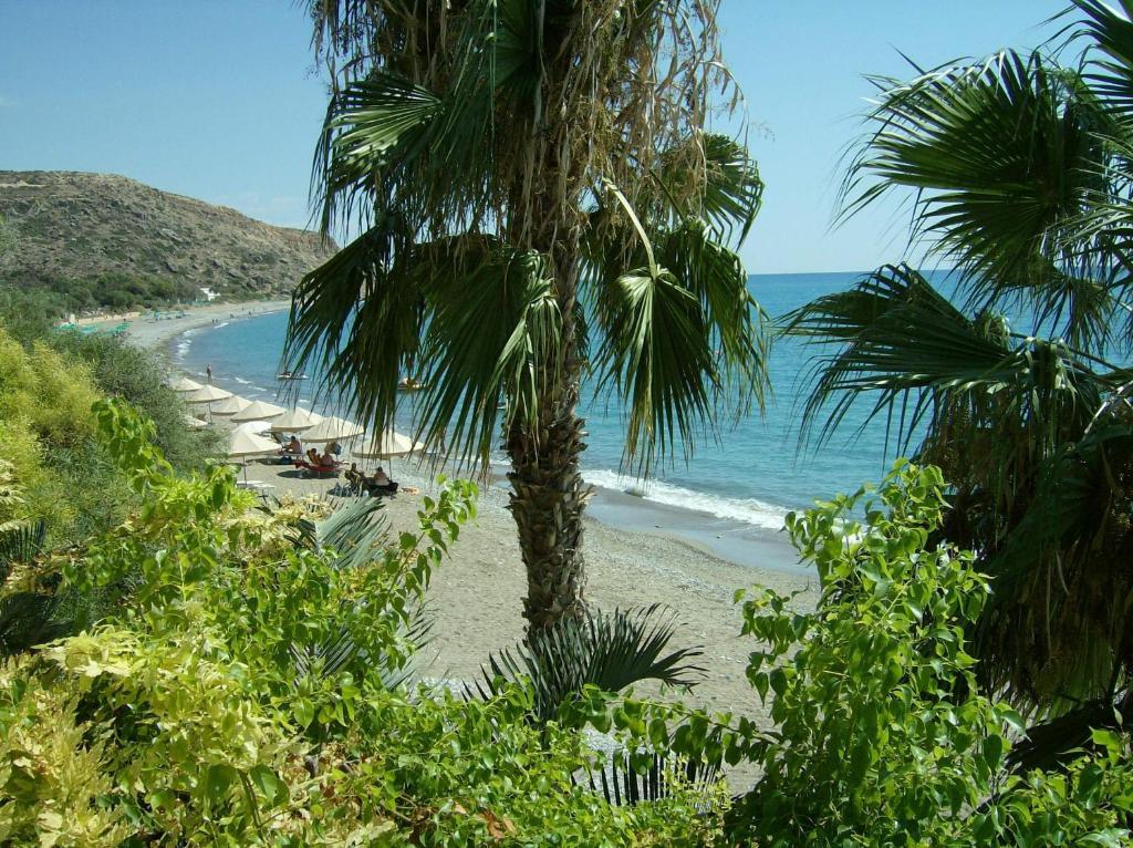 Patriko Village Home Pissouri Esterno foto